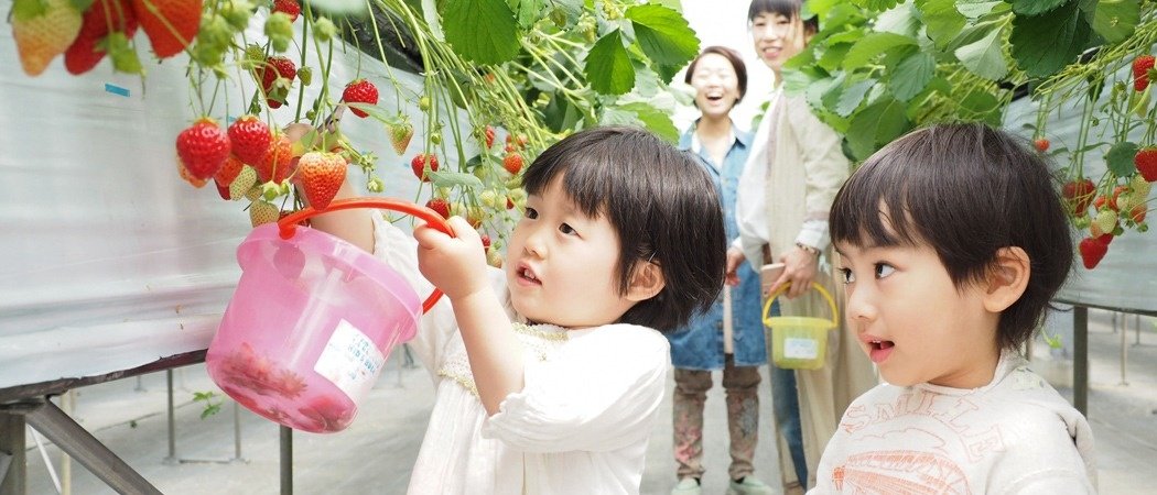 道の駅竜王かがみの里